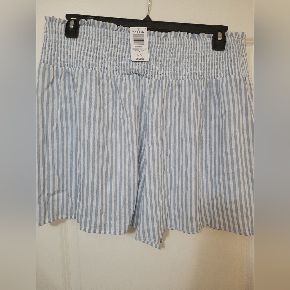 Torrid Light Blue and White Striped Shorts